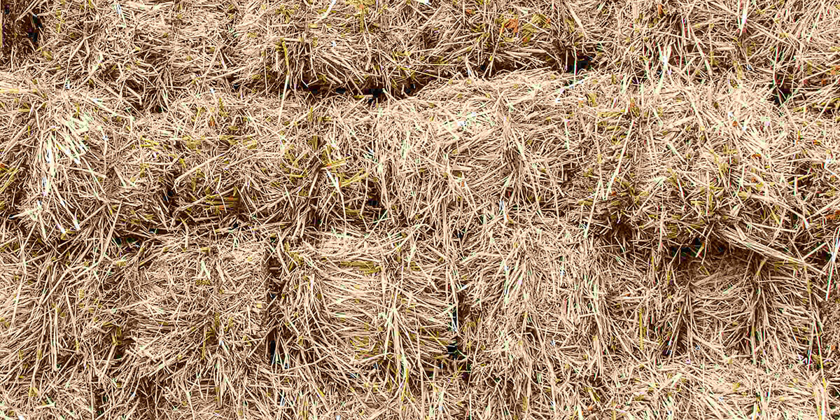 Détenir la botte de foin : points de vue de l’Alpha du conseiller pour le deuxième trimestre de 2024